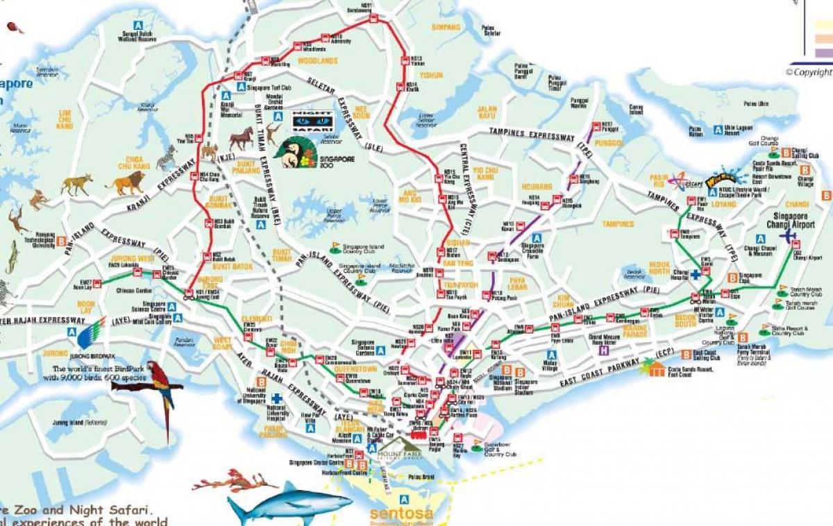 路线图的新加坡