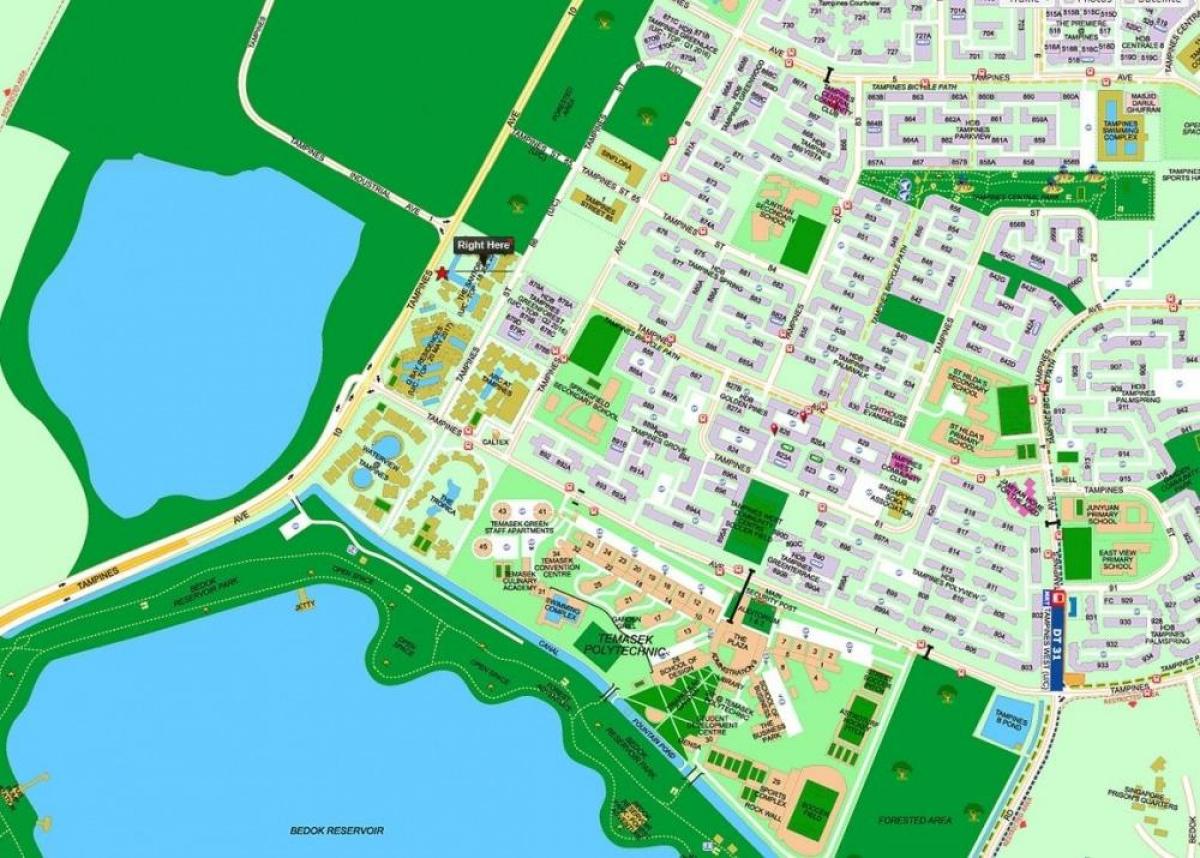 地图淡滨尼新加坡